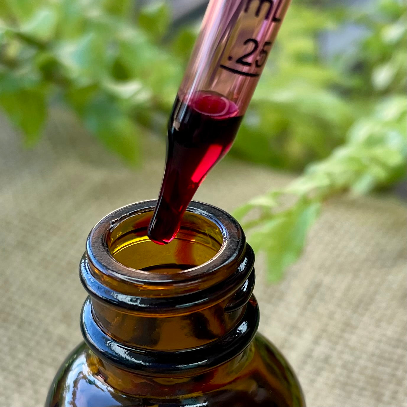 Hibiscus Flower Glycerite