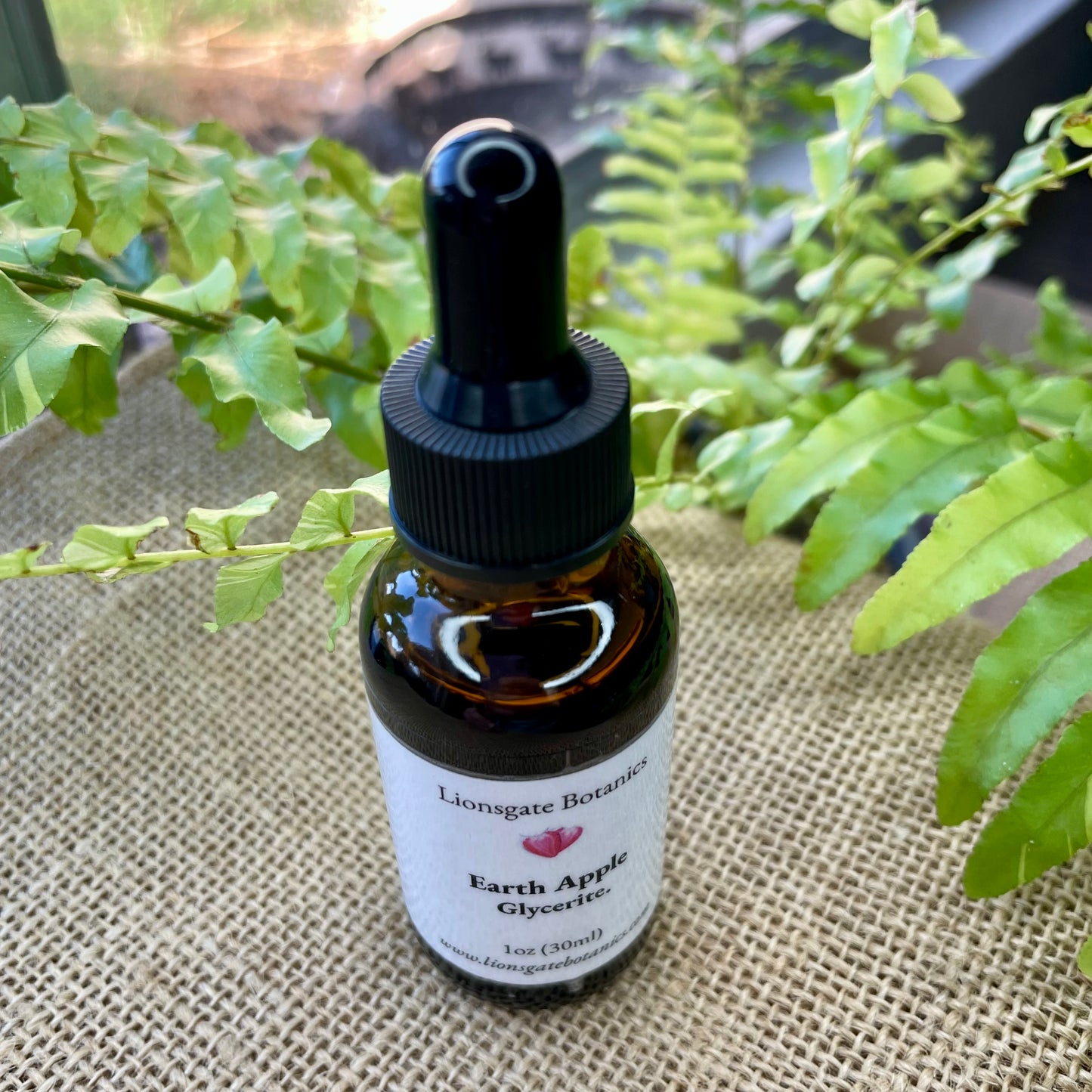 Earth Apple Glycerite