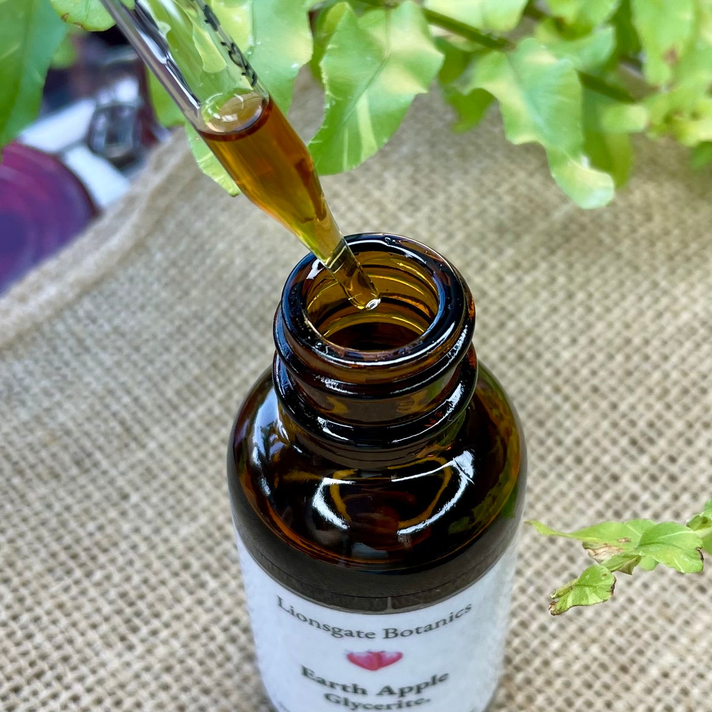 Earth Apple Glycerite