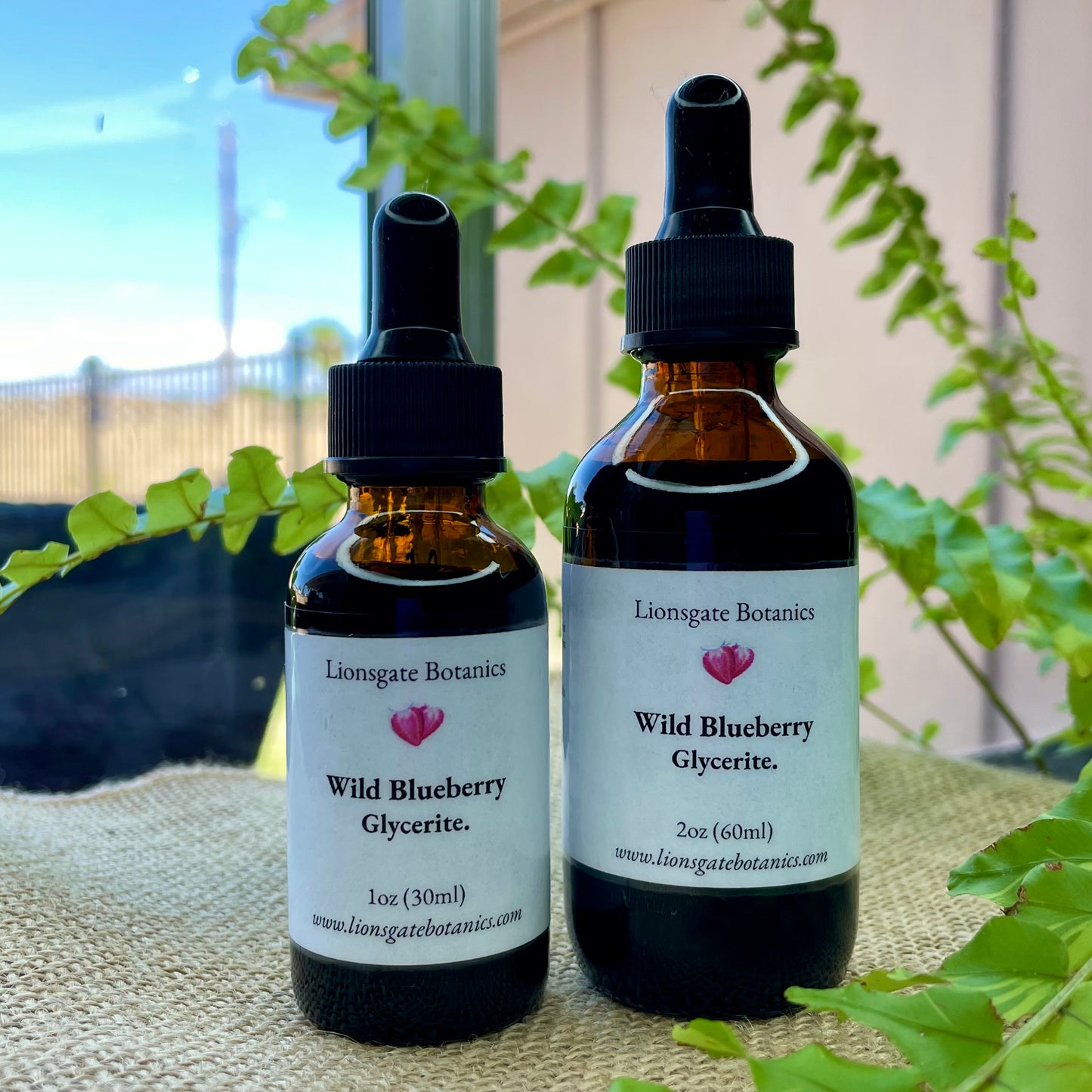 Wild Blueberry Glycerite