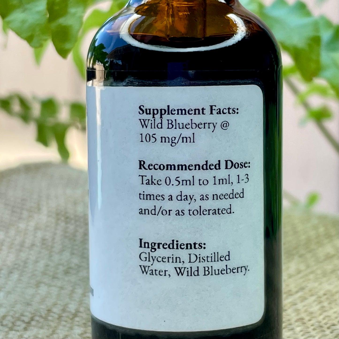 Wild Blueberry Glycerite