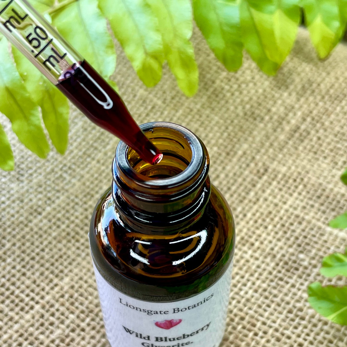 Wild Blueberry Glycerite