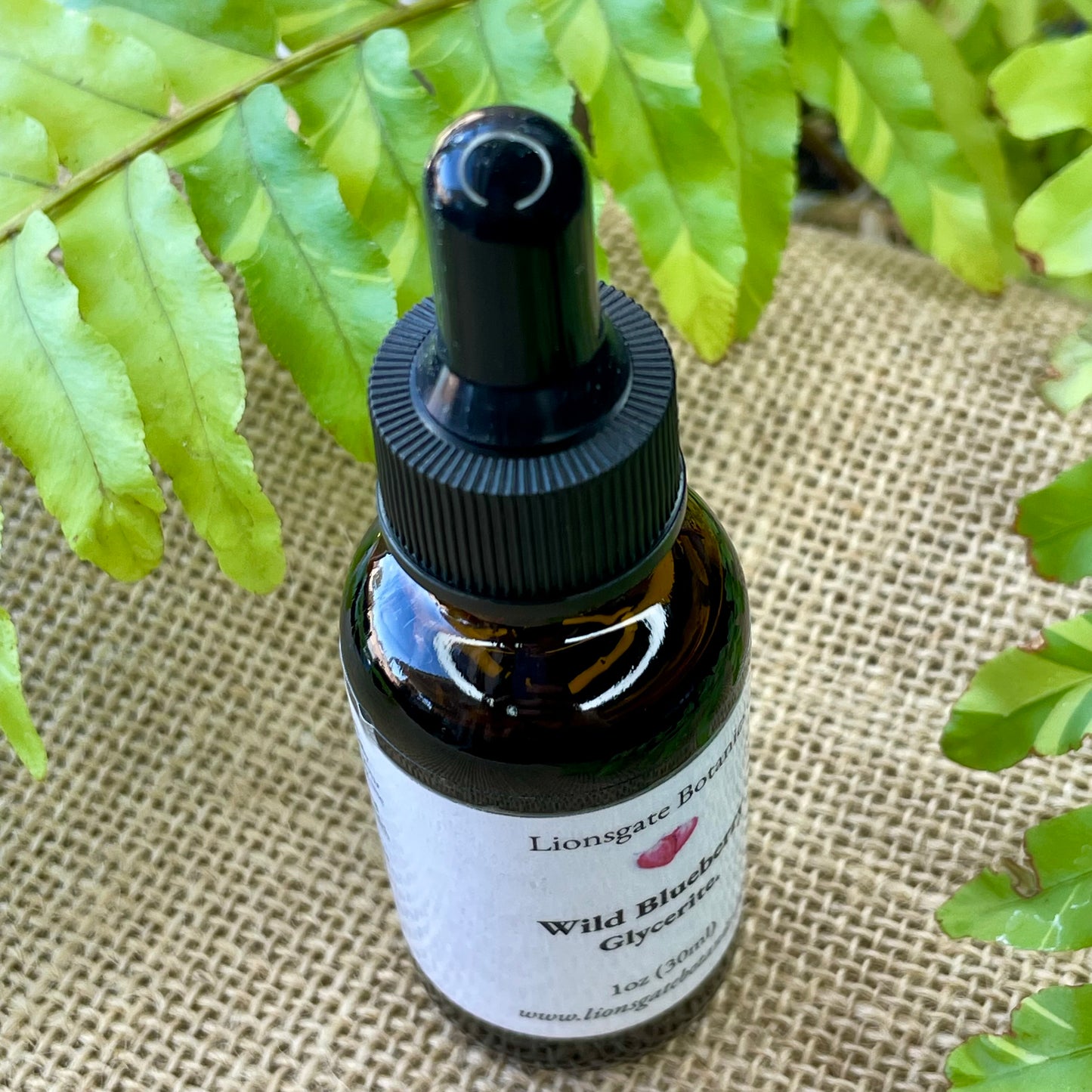 Wild Blueberry Glycerite