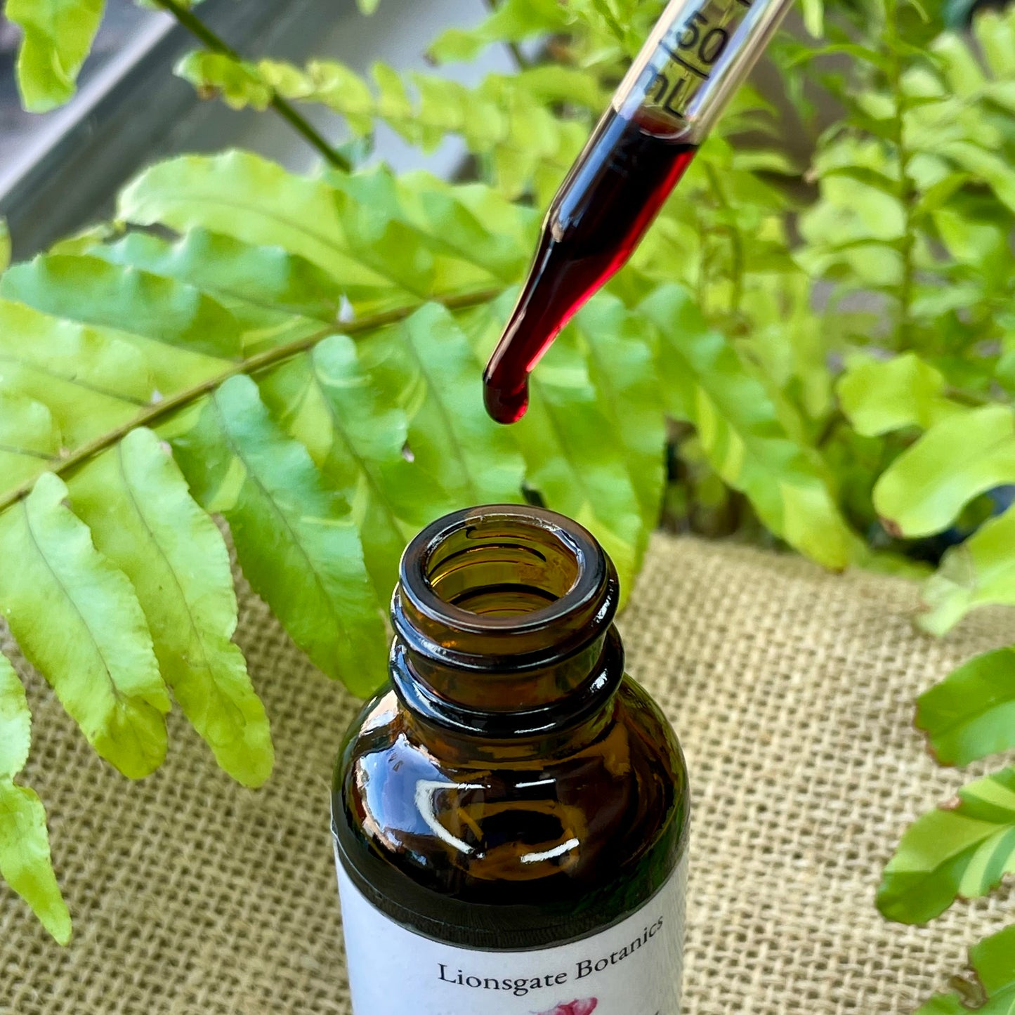Wild Blueberry Glycerite