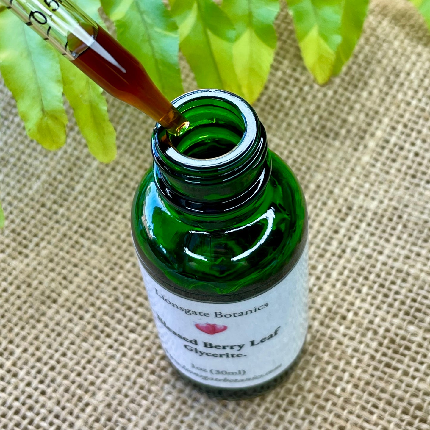 Blessed Berry Leaf Glycerite