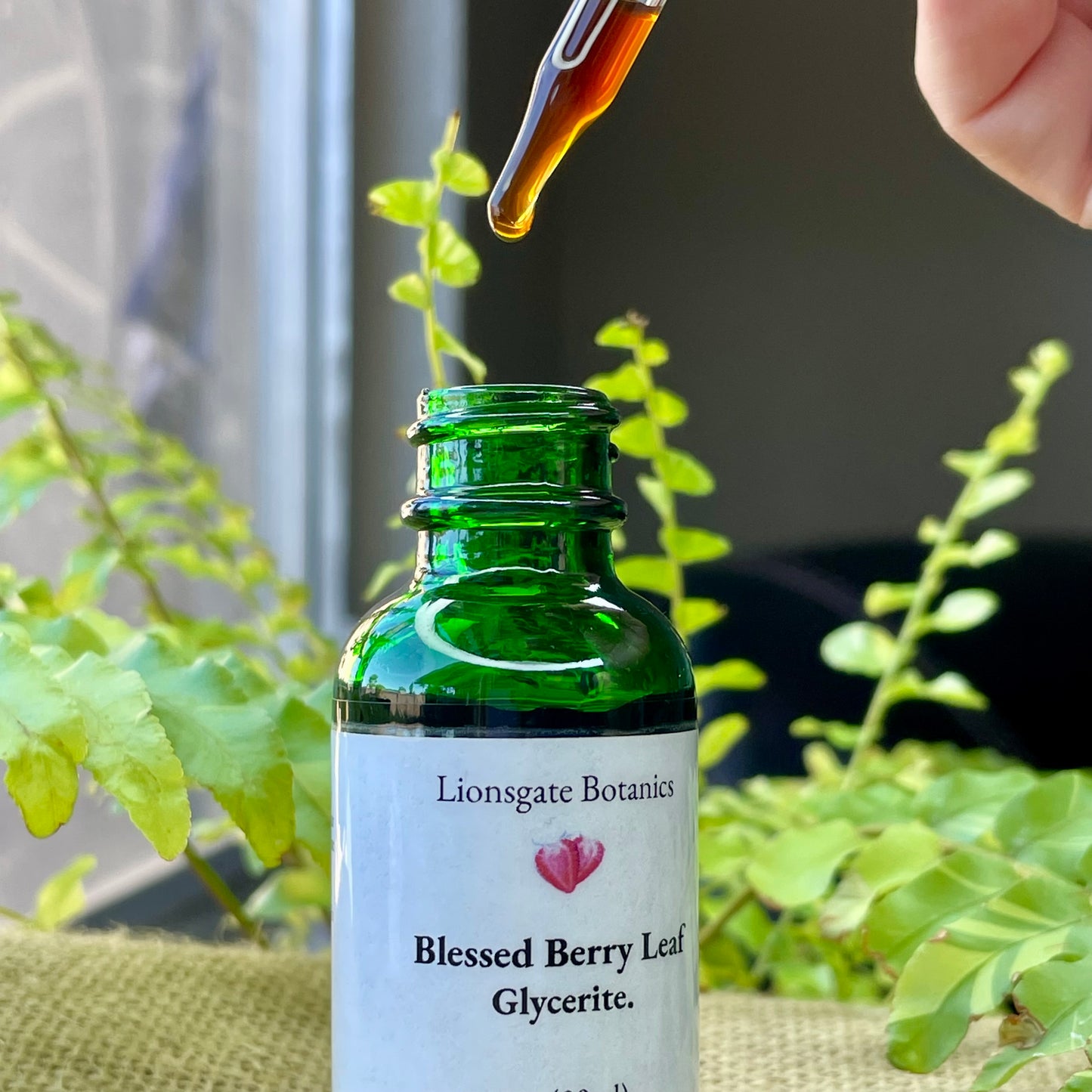 Blessed Berry Leaf Glycerite