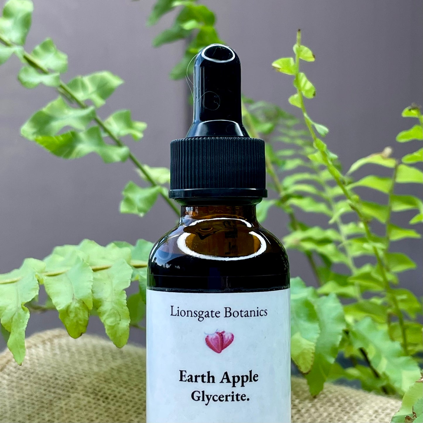 Earth Apple Glycerite