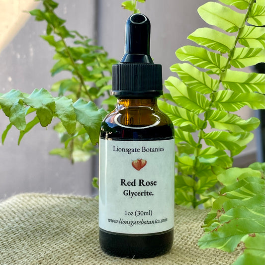 Red Rose Glycerite