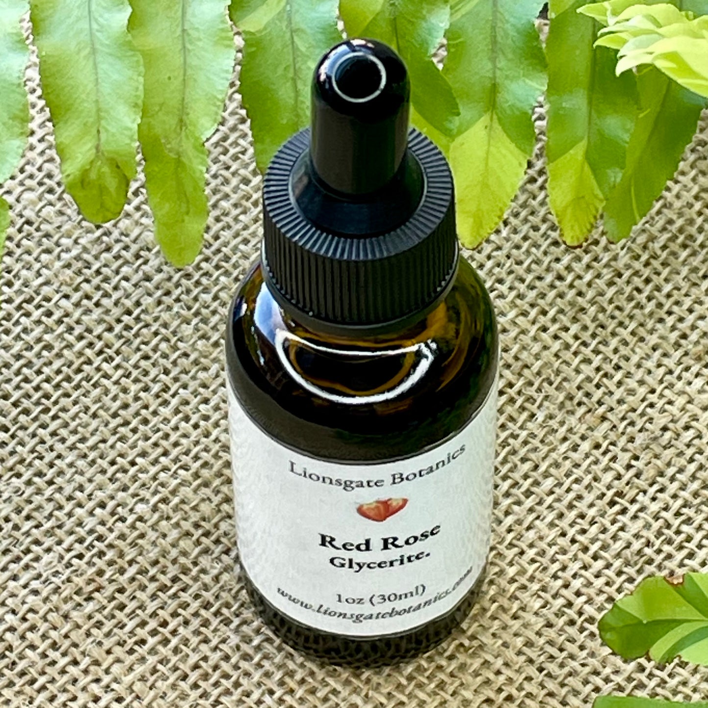 Red Rose Glycerite