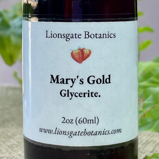 Mary's Gold Glycerite