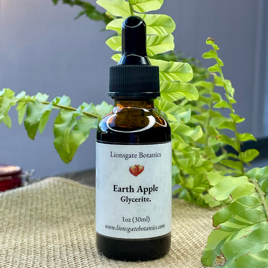 Earth Apple Glycerite