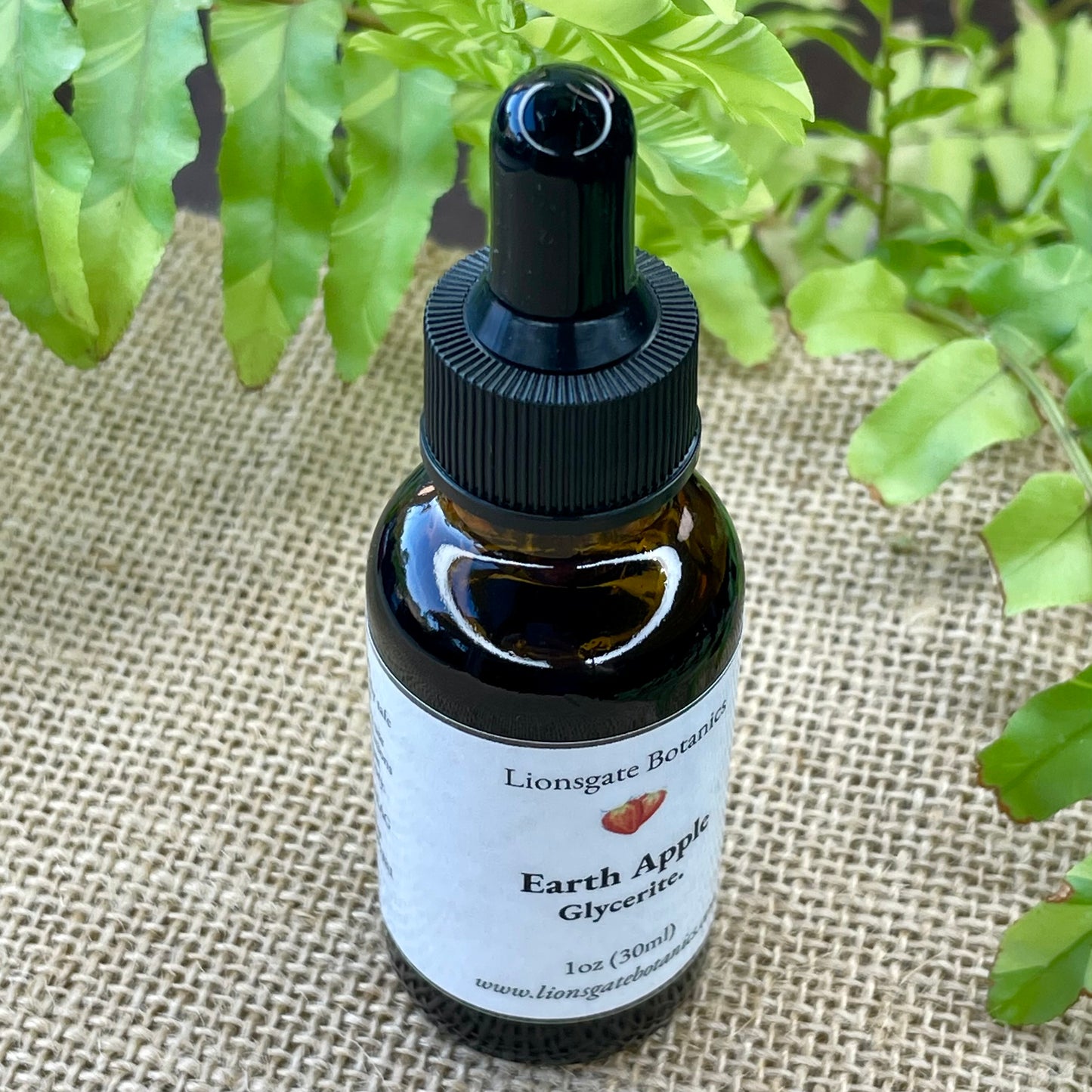 Earth Apple Glycerite