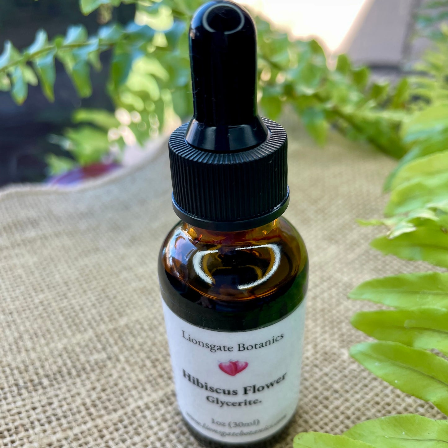 Hibiscus Flower Glycerite