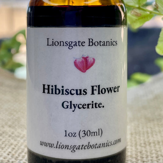 Hibiscus Flower Glycerite