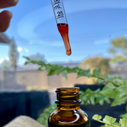 Red Rose Glycerite