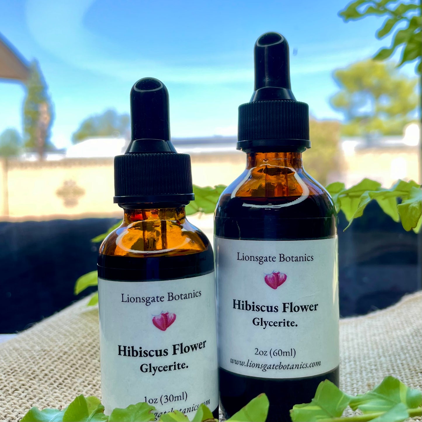 Hibiscus Flower Glycerite