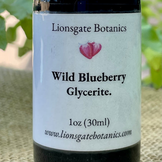 Wild Blueberry Glycerite
