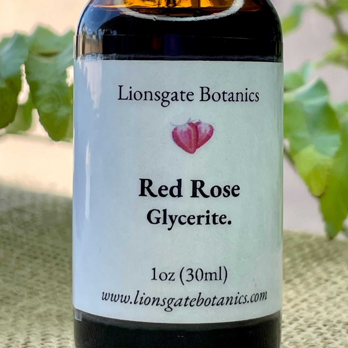 Red Rose Glycerite