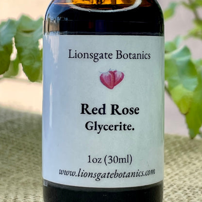 Red Rose Glycerite