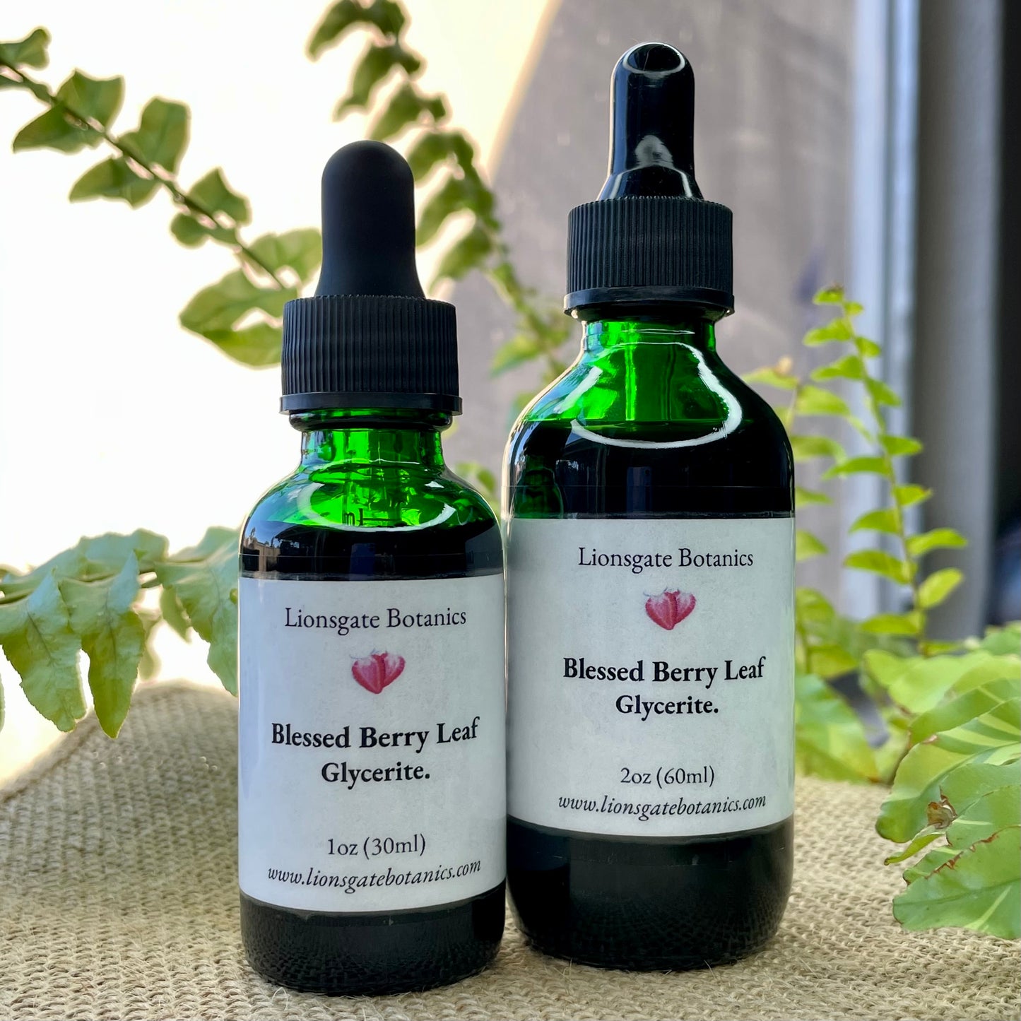 Blessed Berry Leaf Glycerite