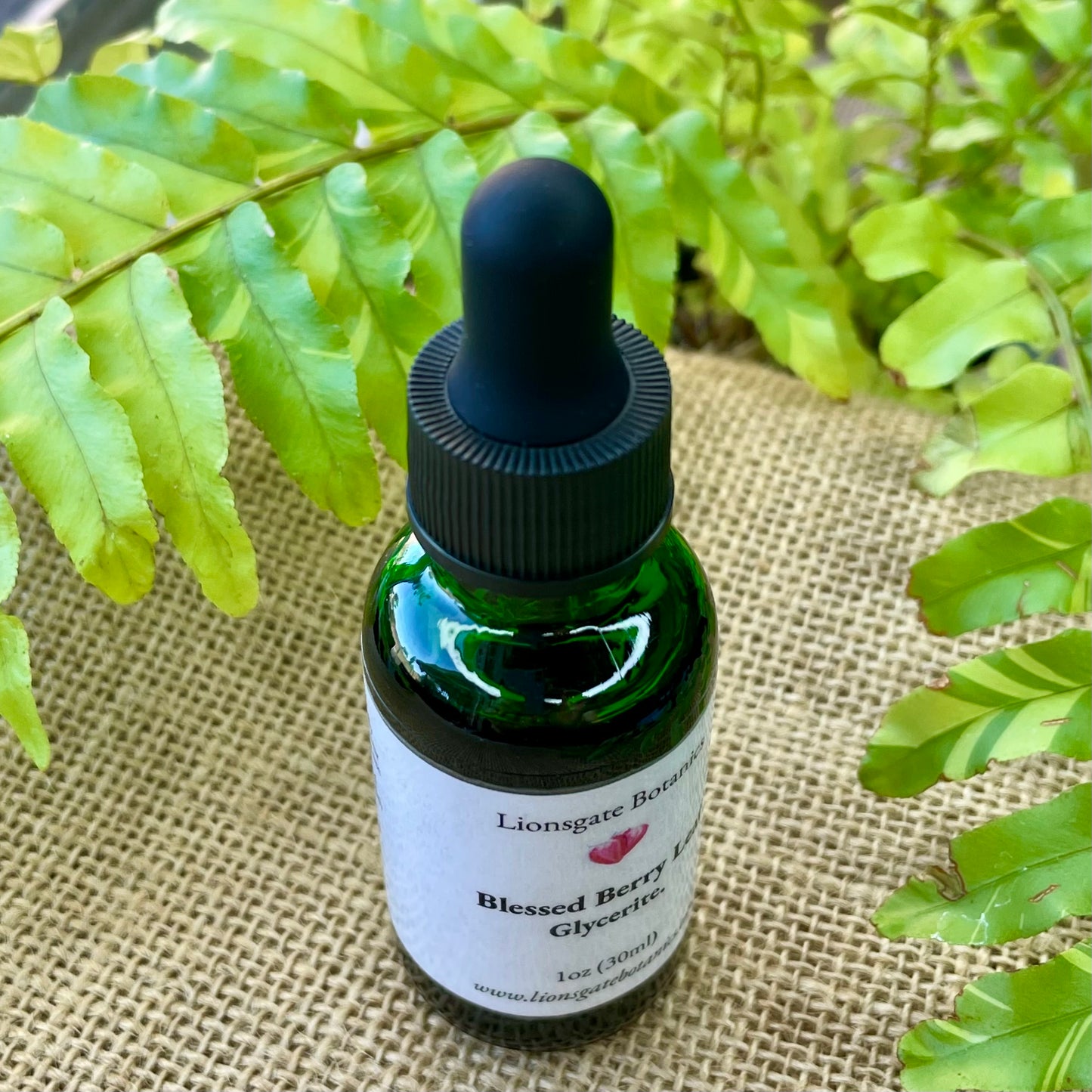 Blessed Berry Leaf Glycerite