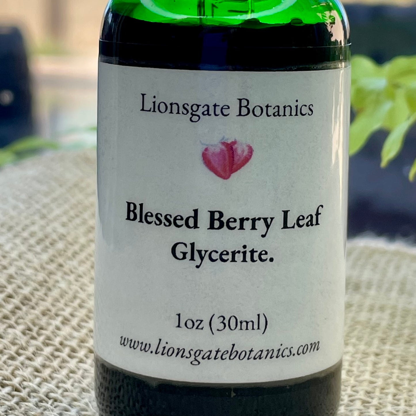 Blessed Berry Leaf Glycerite