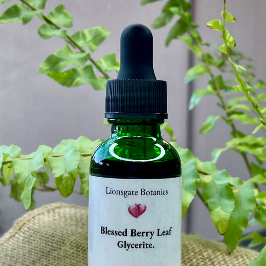 Blessed Berry Leaf Glycerite