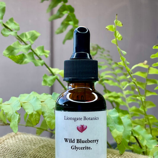 Wild Blueberry Glycerite