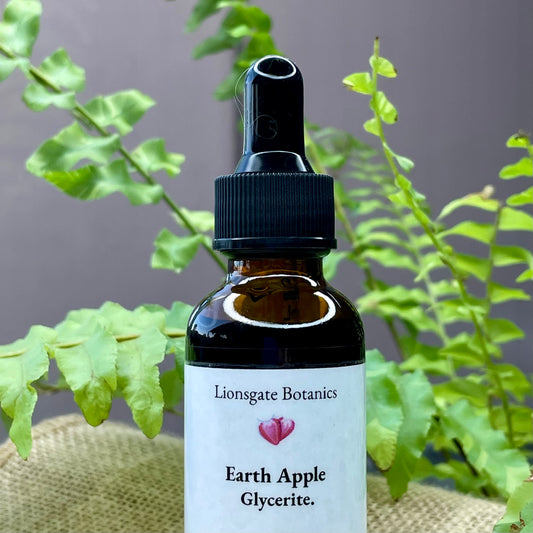 Earth Apple Glycerite