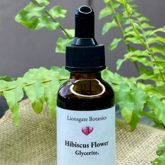 Hibiscus Flower Glycerite