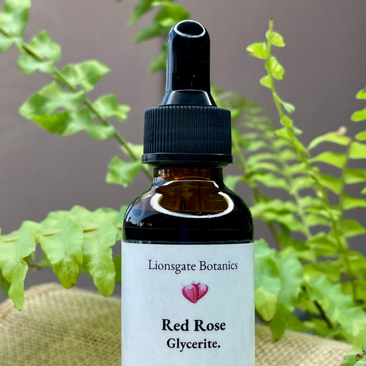 Red Rose Glycerite