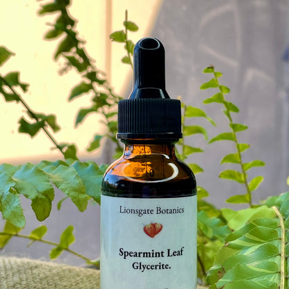 Spearmint Leaf Glycerite