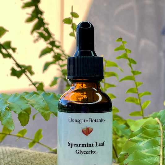 Spearmint Leaf Glycerite