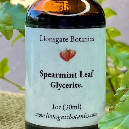 Spearmint Leaf Glycerite