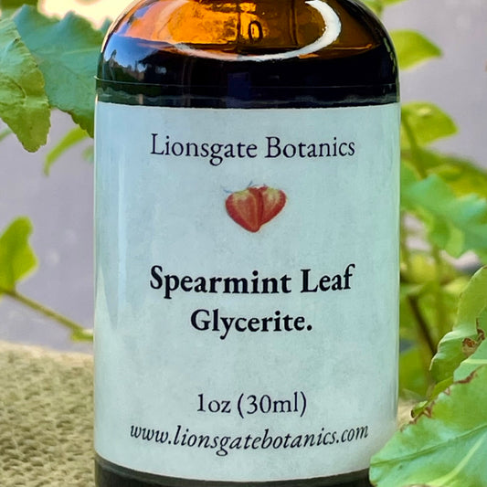 Spearmint Leaf Glycerite
