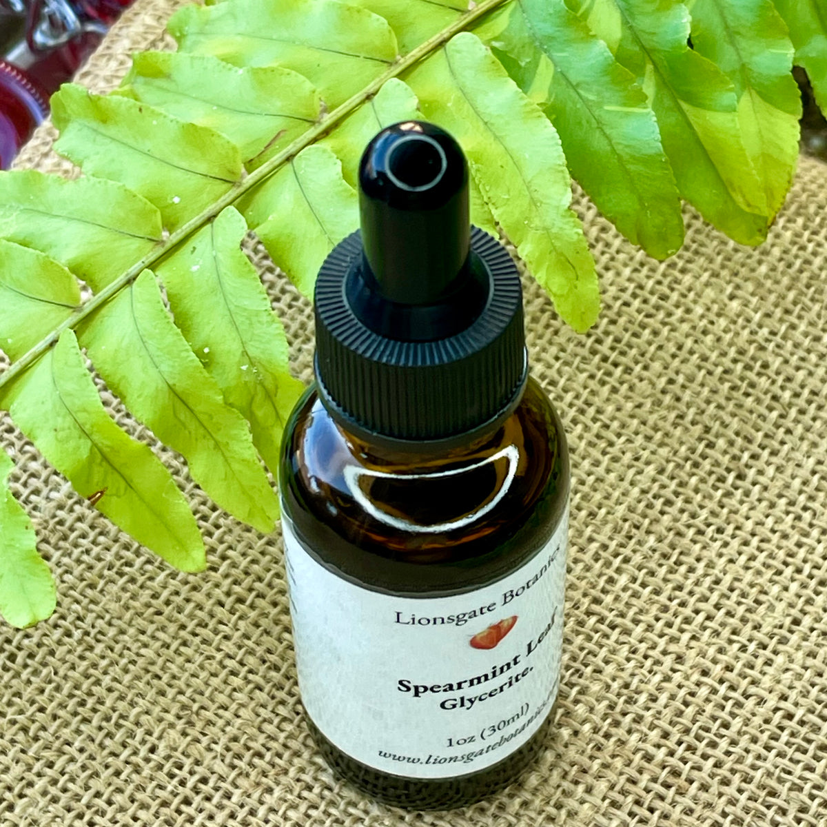 Spearmint Leaf Glycerite