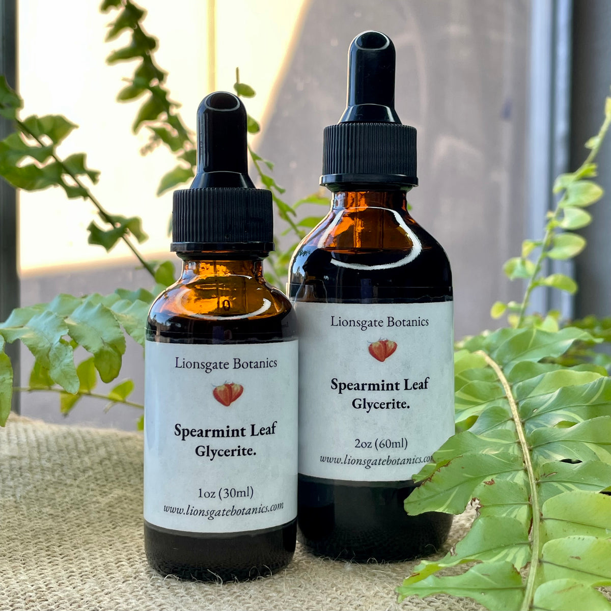 Spearmint Leaf Glycerite