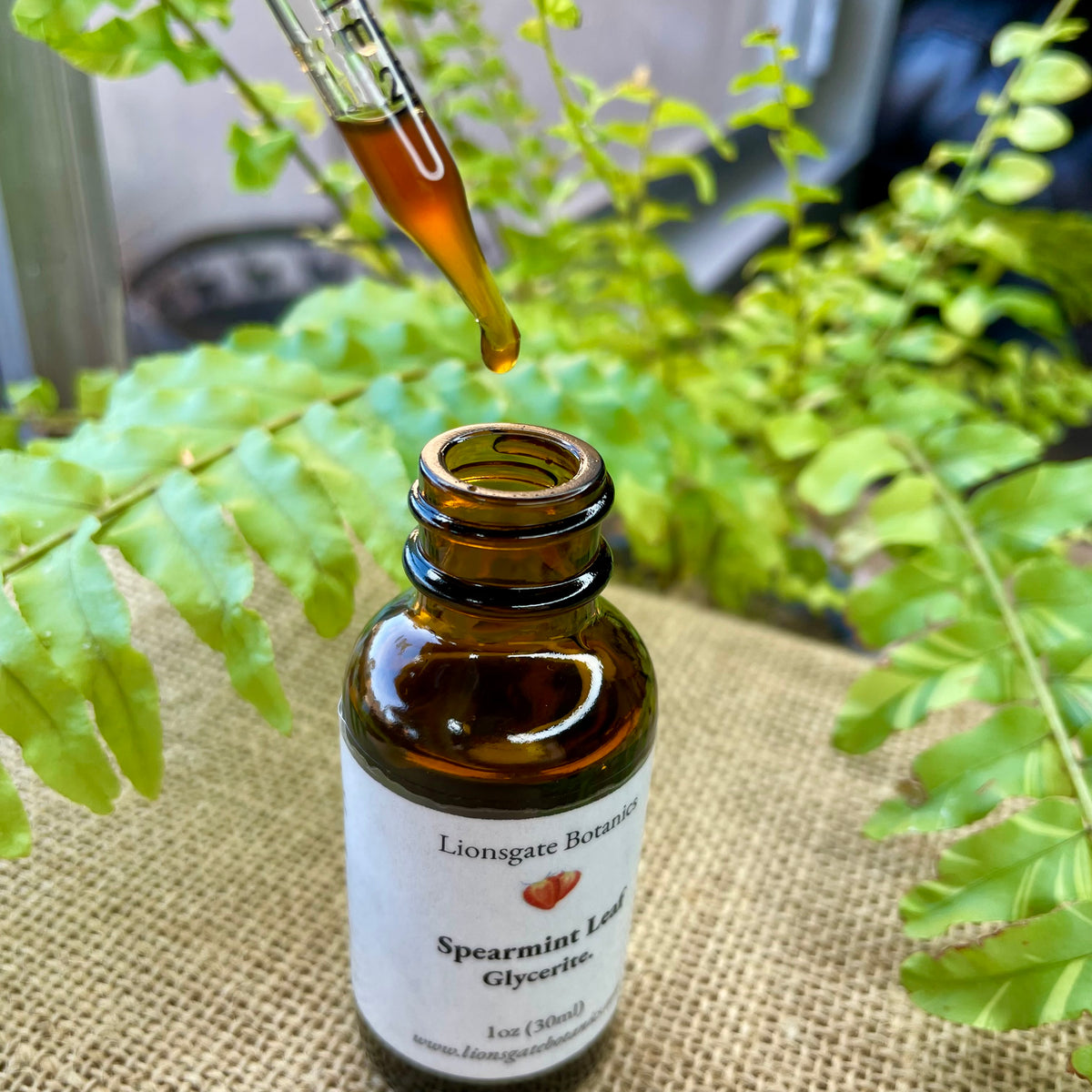 Spearmint Leaf Glycerite