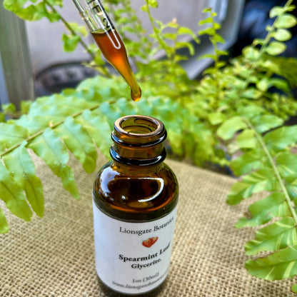 Spearmint Leaf Glycerite