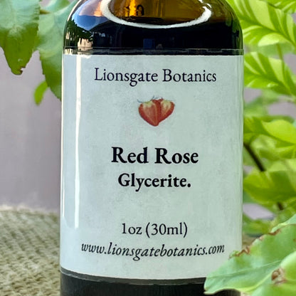 Red Rose Glycerite
