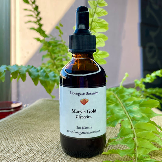 Mary's Gold Glycerite