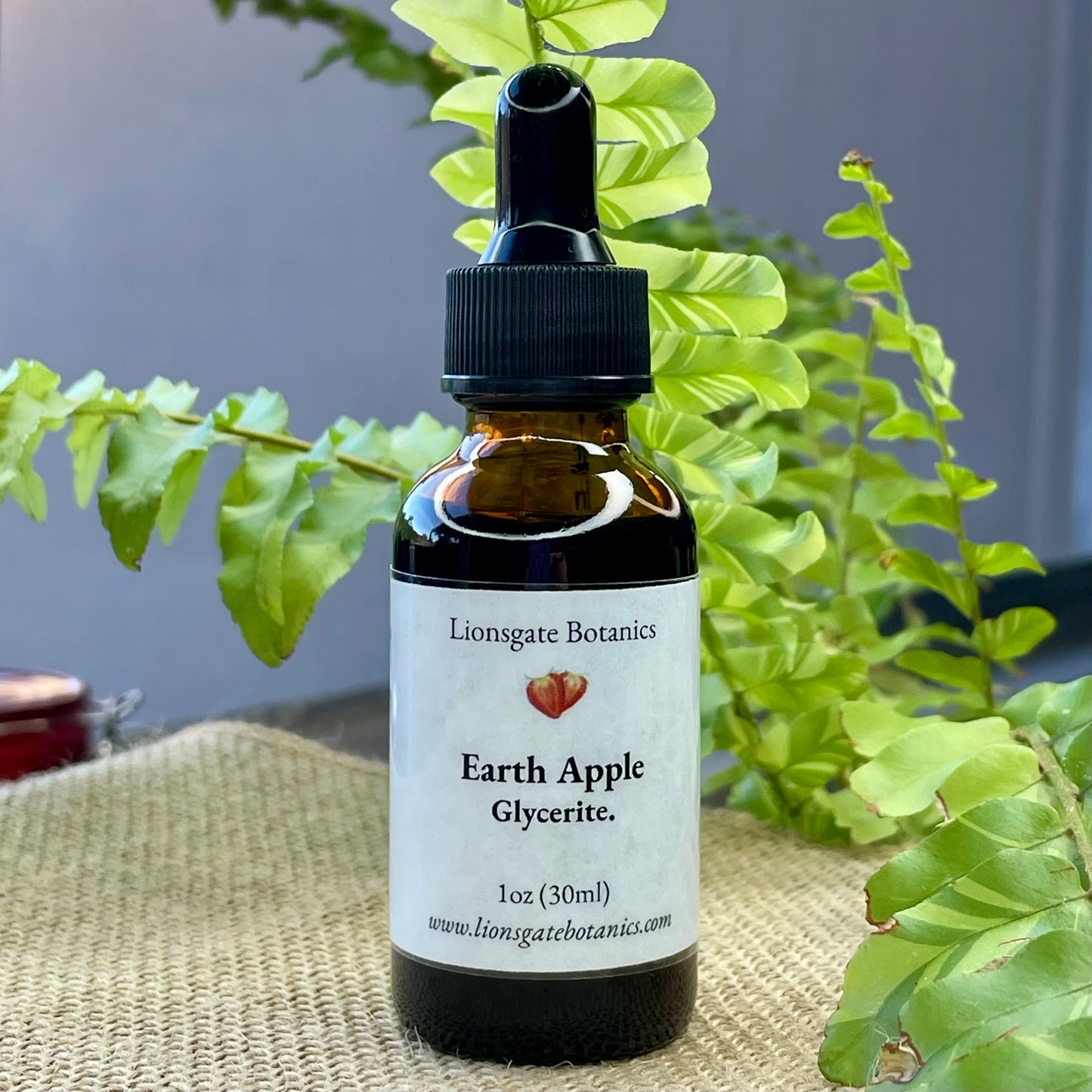 Earth Apple Glycerite