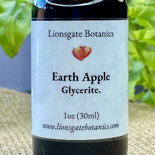 Earth Apple Glycerite