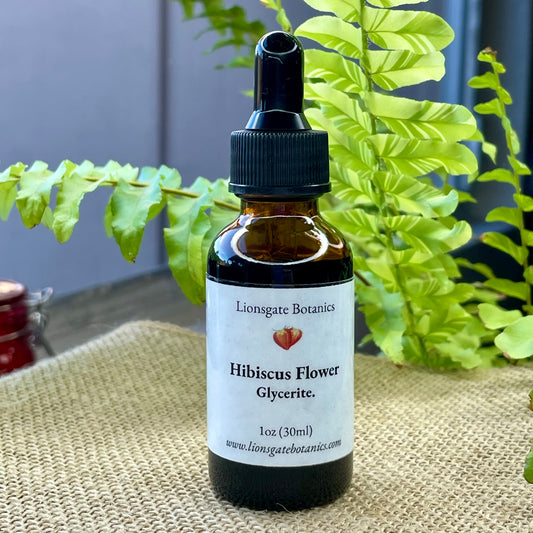 Hibiscus Flower Glycerite