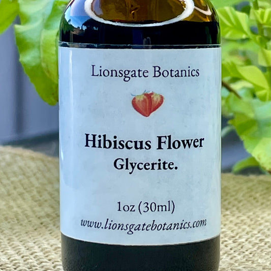 Hibiscus Flower Glycerite