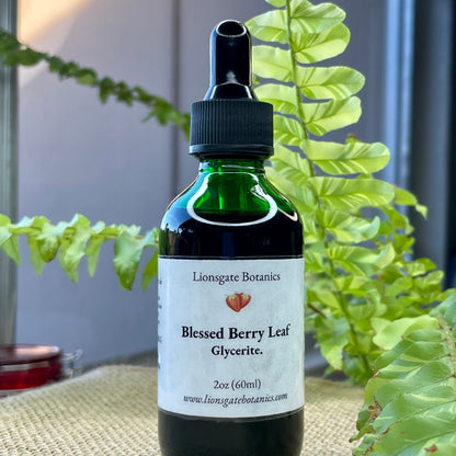Blessed Berry Leaf Glycerite
