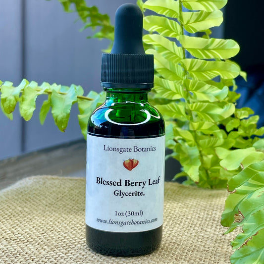 Blessed Berry Leaf Glycerite