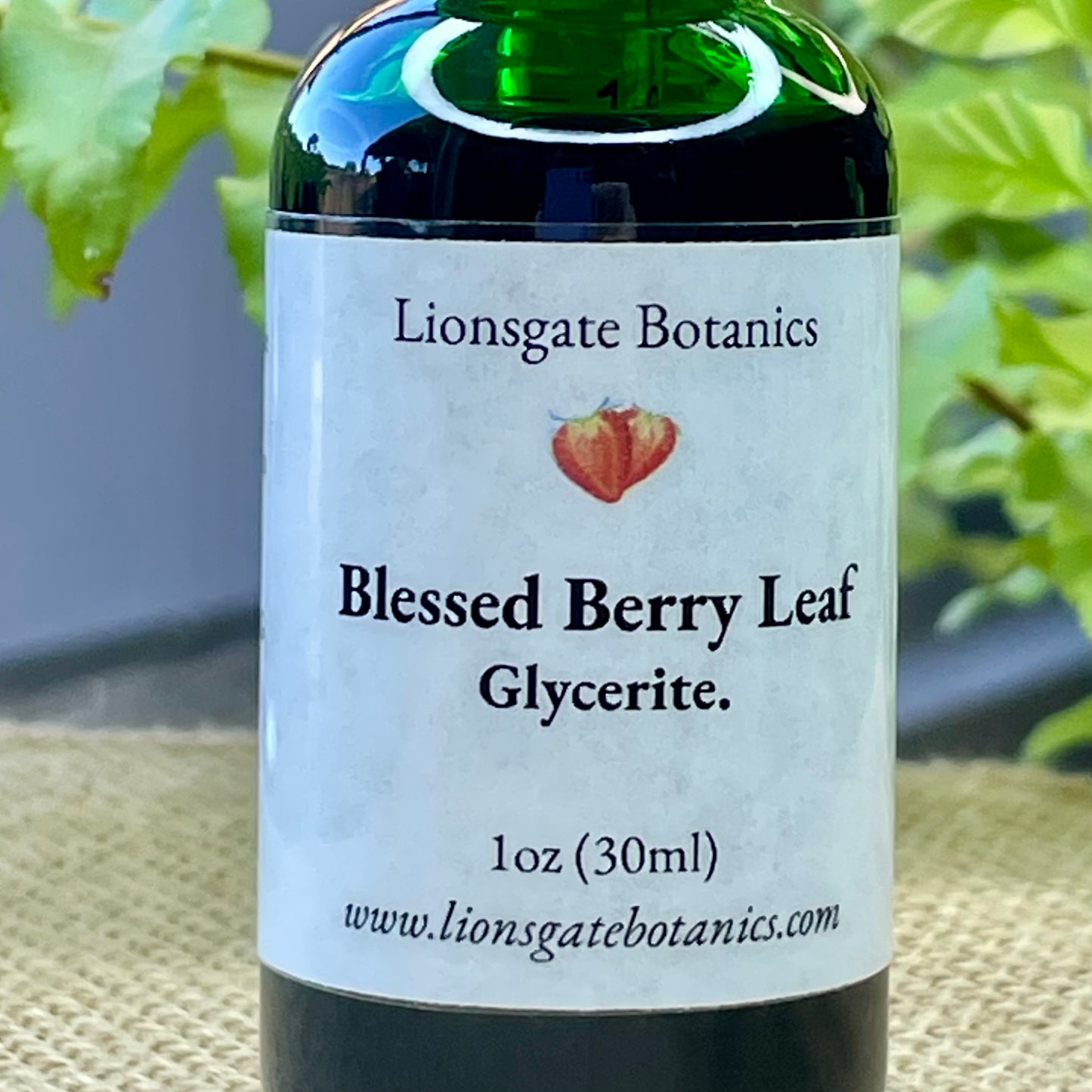 Blessed Berry Leaf Glycerite