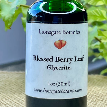 Blessed Berry Leaf Glycerite