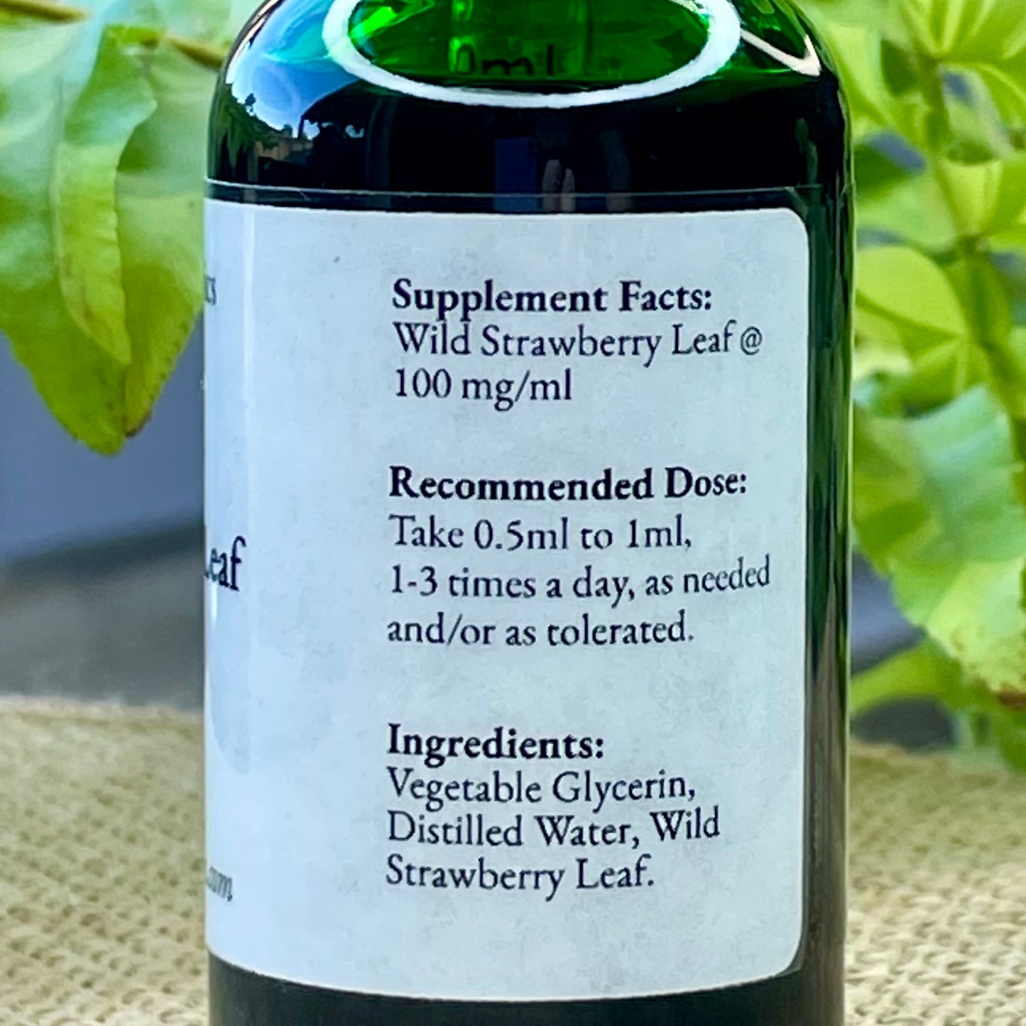 Blessed Berry Leaf Glycerite